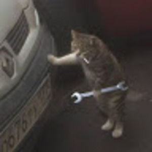 Meet your Posher, Justice